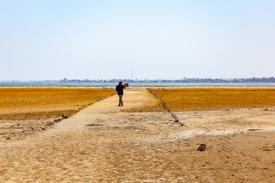  Paracas national reserve