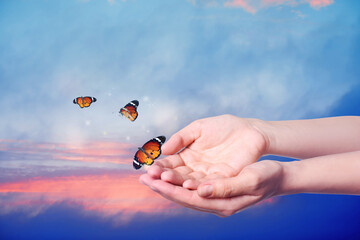 Woman releasing butterflies on color background, closeup. Freedom concept