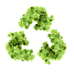 Recycling symbol made of leaves on white background