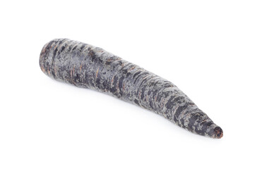 Fresh raw black carrot isolated on white