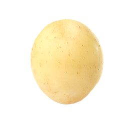 Fresh raw organic potato isolated on white