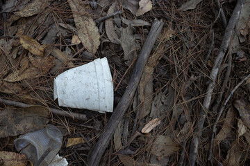 Obraz premium Basura: Dos Vasos Desechados en el Bosque 