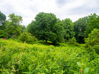 park and garden in an arboretum in late spring