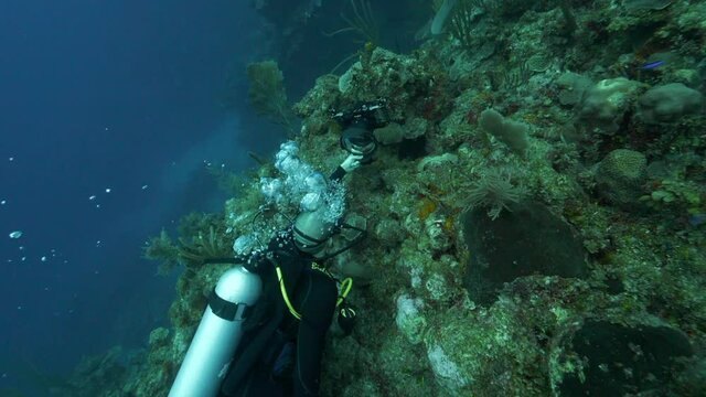 Slow motion of man photographing fish swimming in deep sea, scuba diver is exploring in ocean - Belize City, Belize