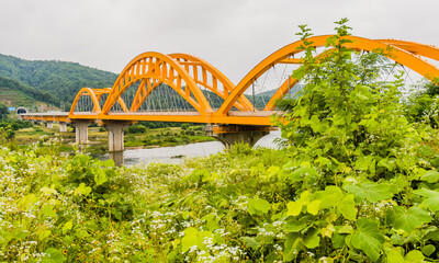 Yellow arched bridge over river