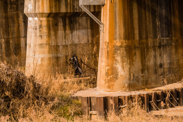 Large concrete bridge support columns