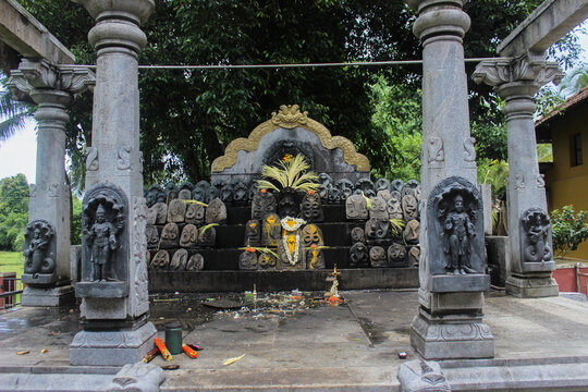 Statues of Naga Devta (Nag Dev) or Serpent God, Worshipped in South India. Naga-Panchami. Kul Devata. Local God. South Indian Temple. Black Granite Sculpture, Mangalore. Naag Mandir. Tulu Nadu. Many.