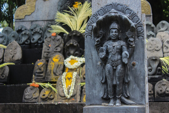 Statues of Naga Devta (Nag Dev) or Serpent God, Worshipped in South India. Naga-Panchami. Kul Devata. Local God. South Indian Temple. Black Granite Sculpture, Mangalore. Naag Mandir. Tulu Nadu. Many.