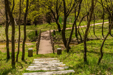Fototapeta premium Wooden footbridge and hiking trail