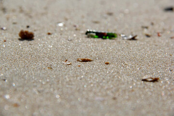 Shell