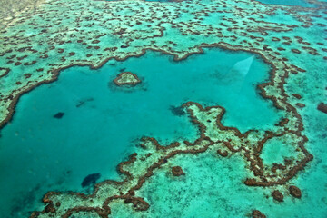 Fototapeta na wymiar Heart Reef 3