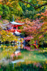 Japanese Heritage. Serene Famous Daigo-ji Temple During Beautiful Red Maples Autumn Season at Kyoto City in Japan. With Pond Reflections in Foregorund.