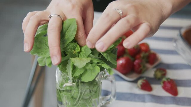 Professional chef is cooking tiramisu cake. Close up of woman tears off a mint leafs to places it on top of a beautiful tiramisu cake