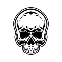 Skull Head Line Art Illustration