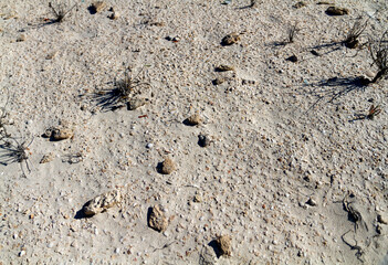 Sand and limestone coastal ground, Australia