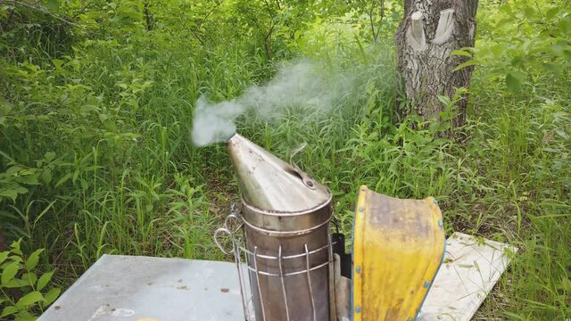 Bees smoker beekeeping tool works with bees near the hives