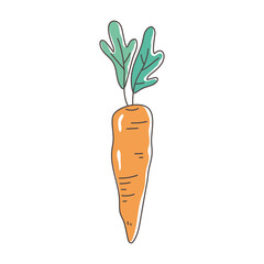 carrot vegetable organic fresh nutrition healthy food isolated icon design