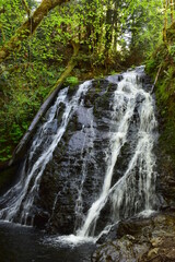 Dickerson Falls in Washington 