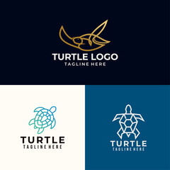 turtle logo icon vector isolated