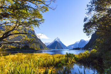 Panoramic View at Milford Sound, South Island, New Zealand; Morning Time Scenery