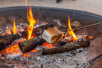 Toasting Marshmallows Over Campfire in the Summertime