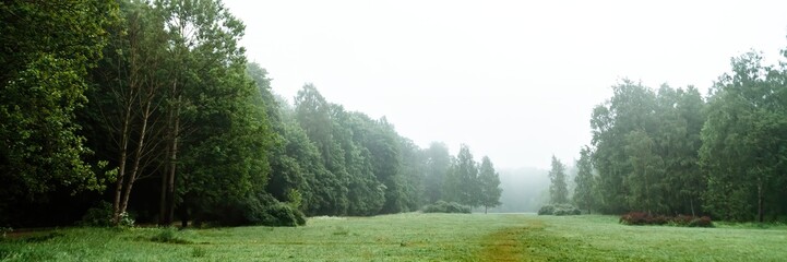 Panorama of a field in a summer forest in the morning mist after a night rain with a path trodden by people, surrounded by beautiful tall trees and lush green vegetation covered with dew 