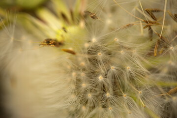 spring love colors calm green life