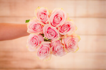 Women hand holding a bouquet of Pink Mondial roses variety, studio shot, pink flowers