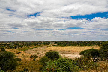 Fototapeta na wymiar タンザニア・タランギーレ国立公園の丘から眺める野原と、雲間から見える青空