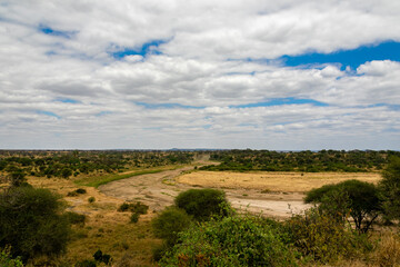 Fototapeta na wymiar タンザニア・タランギーレ国立公園の丘から眺める野原と、雲間から見える青空