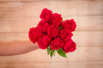 Women hand holding a bouquet of classic Explorer roses variety, studio shot.