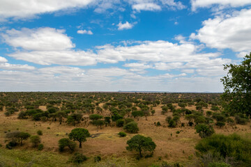タンザニア・タランギーレ国立公園の丘から眺める青空と地平線