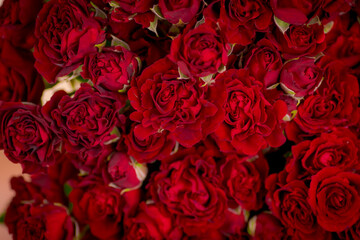 Close up of a bouquet of Butterfly Sensation roses variety, studio shot.