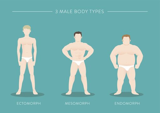 three male body types