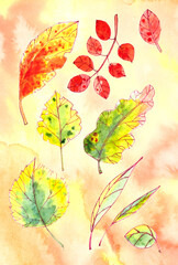 set of autumn yellow, red, orange, green leaves on a textured yellow orange background. graphic color picture