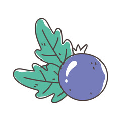 blueberry fruit fresh nutrition healthy food isolated icon design