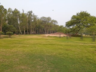 landscape in the park