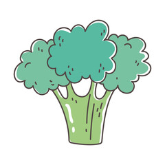 broccoli organic vegetable fresh nutrition healthy food isolated icon design