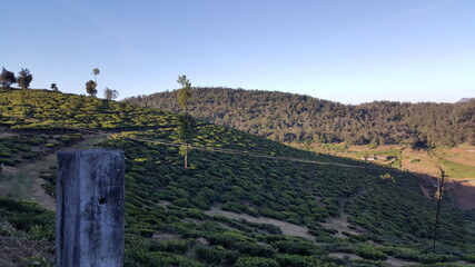 Kerala, Beautiful land, landscape, mountain, sky, nature, mountains, hill, grass, green, blue, panorama, forest, rock, trees, clouds, summer, valley, hiking, panoramic, cloud, view, travel, spring