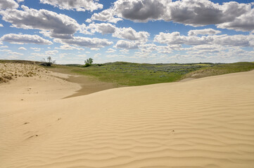 Landscape of the Great Sandhills near the town of Leader, Saskatchewan, Canada