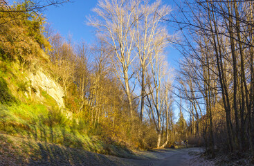 Fototapeta premium Autumn Colours at Arrowtown, South Island, New Zealand; Landscape Scenery Arrowtown
