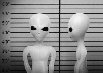 Obraz premium Black and white image of an extraterrestrial alien mugshot - humor concept of alien abduction 
