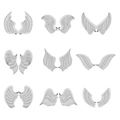 set of wings icon