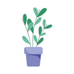 potted plant decoration isolated icon design white background