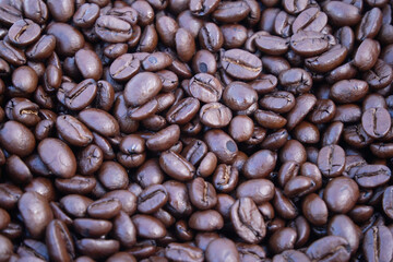 coffee beans background