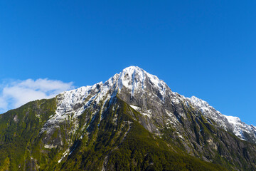 Morning Scenery of Milford Sound, South Island, New Zealand