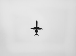 Avion