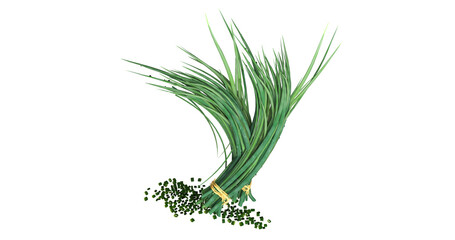 spring onion