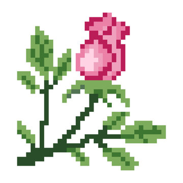 Pixel rose flower image. Vector Illustration of pixel art.