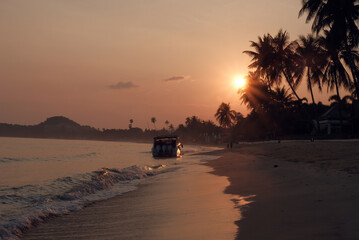 Beautiful sunrise on the beach at resort front. Palm trees in the background. Sun glow.